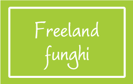 FREELAND Funghi