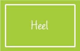 HEEL