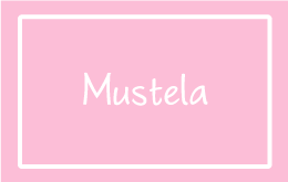 MUSTELA