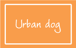 URBAN DOG