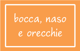 Bocca, Naso, Orecchie