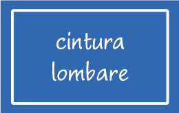 Cintura Lombare