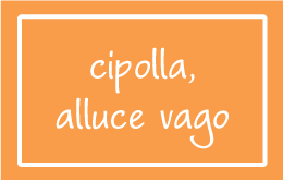 cipolla, alluce valgo