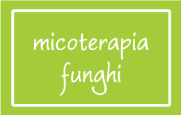 Micoterapia - Funghi