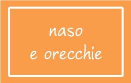 Naso e orecchie