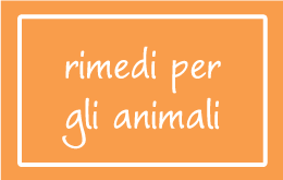 Rimedi per gli Animali