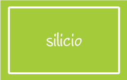 silicio