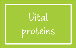 VITAL PROTEINS