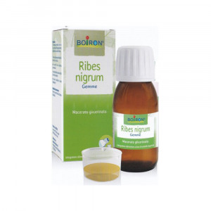 RIBES NIGRUM Gemme | Macerato Glicerinato 1 DH 60 ml | BOIRON
