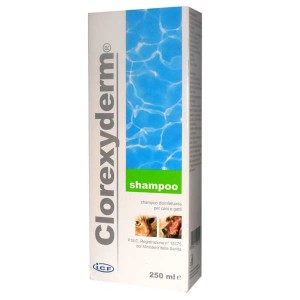 ICF SHAMPOO 250 ml | Shampoo Disinfettante con Clorexidina per Cani e Gatti | CLOREXYDERM     