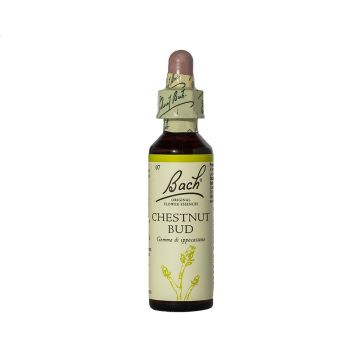 CHESTNUT BUD | Indifferenzai 20 ml | LOACKER Fiori di Bach