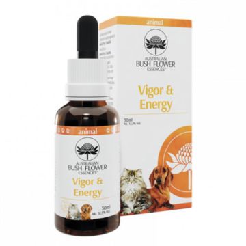 VIGOR & ENERGY Gocce 30 ml | Fiori Australiani per Energia ed Entusiasmo | AUSTRALIAN BUSH FLOWER Essences - Animal