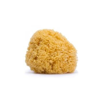 Spugna Naturale Grande | Igiene bimbo | SUAVINEX