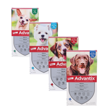 Advantx Spot On Cani| Antiparassitario - Varie taglie | ELANCO