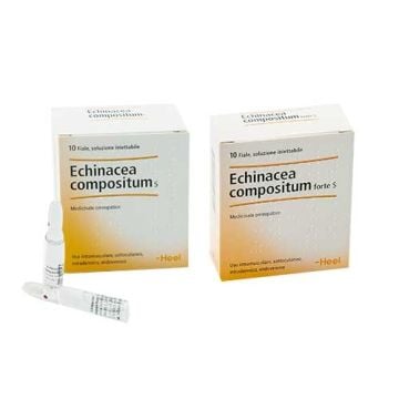 Echinacea CompositumS | 10 Fiale omeopatiche 2,2 ml | GUNA Heel