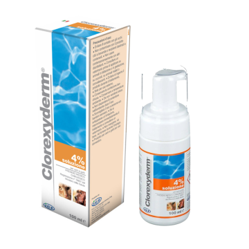 Clorexyderm 4% Soluzione 100ml | Presidio medico chirurgico | ICF