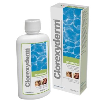 Clorexyderm Shampoo 250ml | Disinfettante | ICF