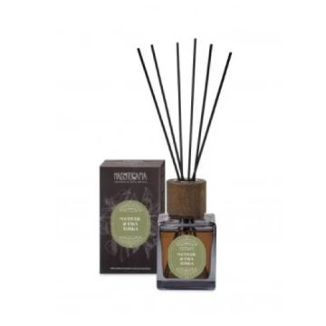 Vetiver e Fava Tonka | Diffusore con Bastoncini 200ml | NASOTERAPIA