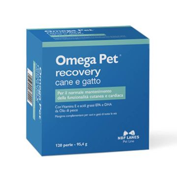 Omega Pet Recovery - Cane e Gatto 120prl | Mangime complementare | NBF LANES 