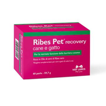Ribes Pet Recovery - Cane e Gatto 60prl | Formulazione dermica | NBF LANES