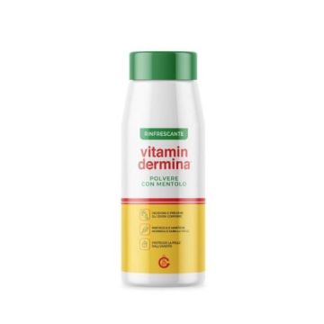 Polvere al mentolo 100g | VITAMINDERMINA