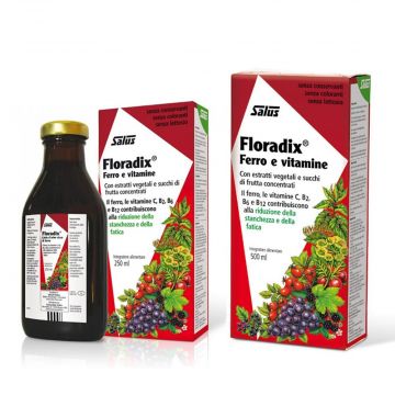 Floradix Ferro | Integratore Ferro e Vitamine Gruppo B | Salus