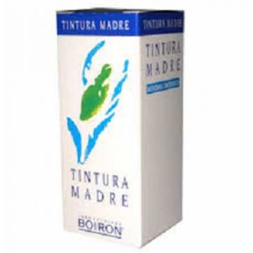 AGNUS CASTUS | Tintura Madre 60 ml | BOIRON