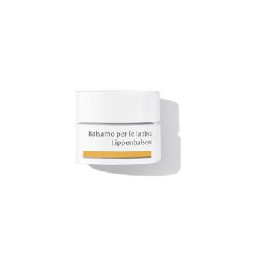 BALSAMO PER LE LABBRA 4,5 GR | DR. HAUSCHKA