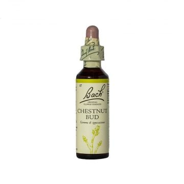 CHESTNUT BUD | Indifferenzai 20 ml | LOACKER Fiori di Bach