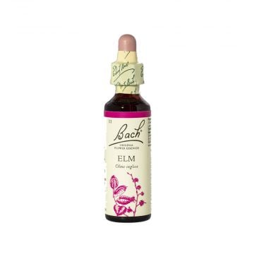 ELM | Scoraggiamento 20 ml | LOACKER Fiori di Bach