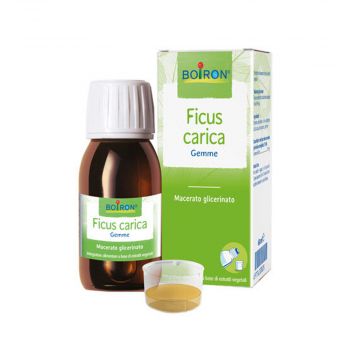 Ficus Carica Gemme | Macerato Glicerinato 1 DH 60 ml | BOIRON