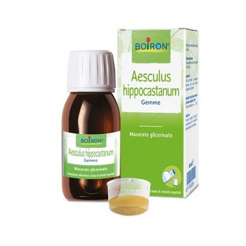 AESCULUS HIPPOCASTANUM Gemme | Macerato Glierinato 60 ml | BOIRON