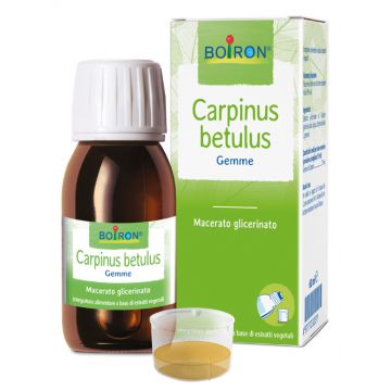 CARPINUS BETULUS 60 ml | Gemme | BOIRON