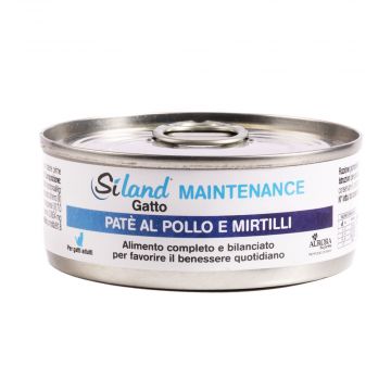 Gatto Maintenance Pollo e mirtillo 85g | Mangime completo gatto adulto | SILAND