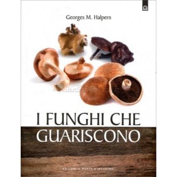 I FUNGHI CHE GUARISCONO | FREELAND