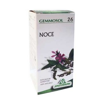 NOCE 26 Macerato Glicerico| Gocce per la pelle 50 ML | SPECCHIASOL