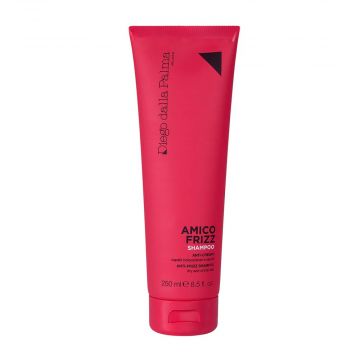 Diego Dalla Palma - Amico Frizz Capelli | Shampoo Anticrespo 250ml | RVB LAB 
