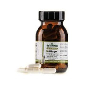 VITALLERGAN | Integratore Vitamina B6 e C 60 capsule cod.6607 | NATURAVETAL - Felis Plus