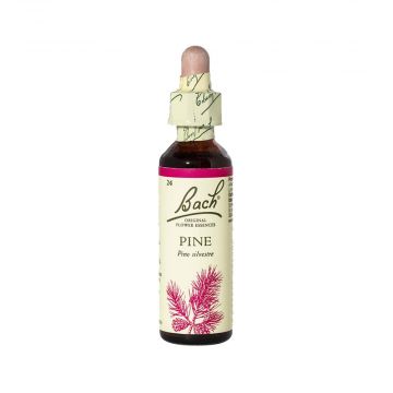 PINE gocce orali 20 ml | LOACKER - Fiori di Bach