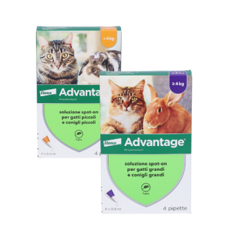Advantage Gatti e Conigli | Antiparassitario - Varie taglie | ELANCO