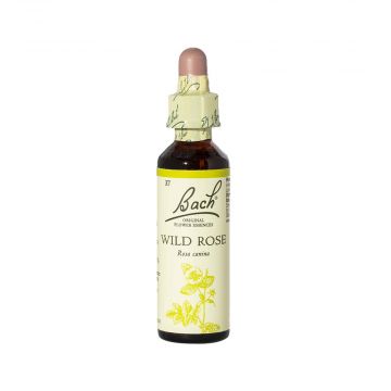 WILD ROSE | Indifferenza 20 ml | LOACKER Fiori di Bach