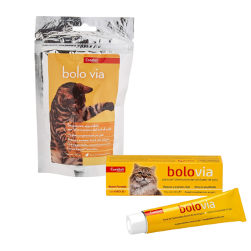 Bolo Via Gatti | Vari formati | CANDIOLI