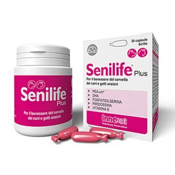 SENILIFE PLUS 30 capsule | Integratore per cane e gatto | INNOVET - Comportamento