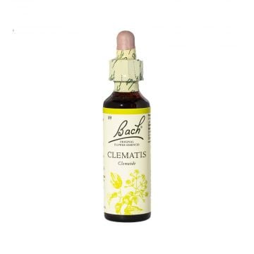 CLEMATIS | Indifferenza 20 ml | LOACKER Fiori di Bach