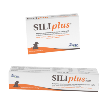 Siliplus Cani/Gatti | Azione antiossidante - Vari formati | AURORA BIOFARMA