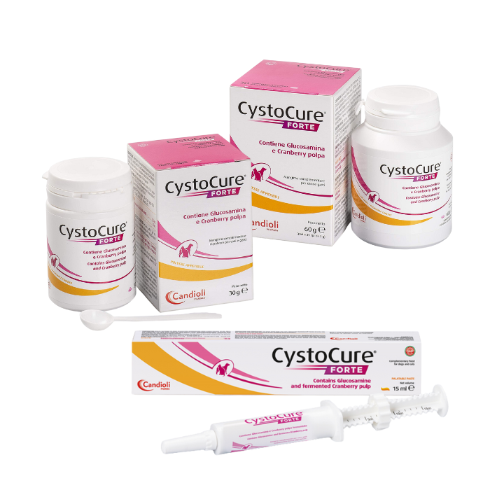 CystoCure Forte Cani/Gatti | Vie urinarie - Vari formati | CANDIOLI main product photo