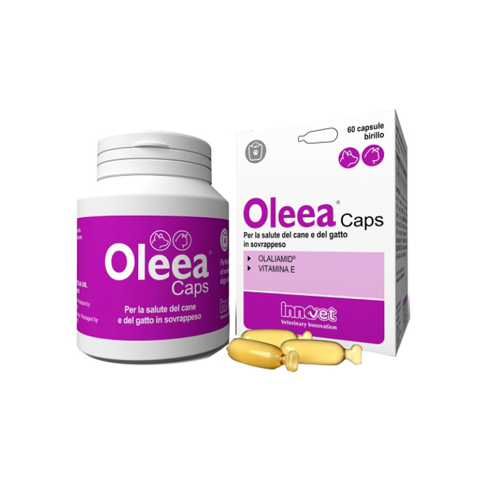 Oleea Caps 60cps | Sovrappeso cani/gatti | INNOVET main product photo
