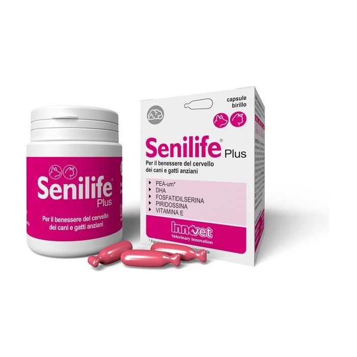 Senilife Plus 30/60cps| Funzioni cognitive cani/gatti | INNOVET main product photo