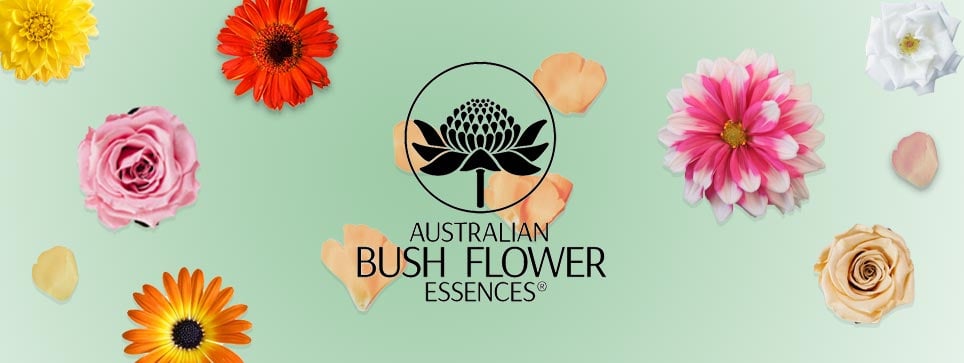 Bush flower | Bravi Farmacie Online