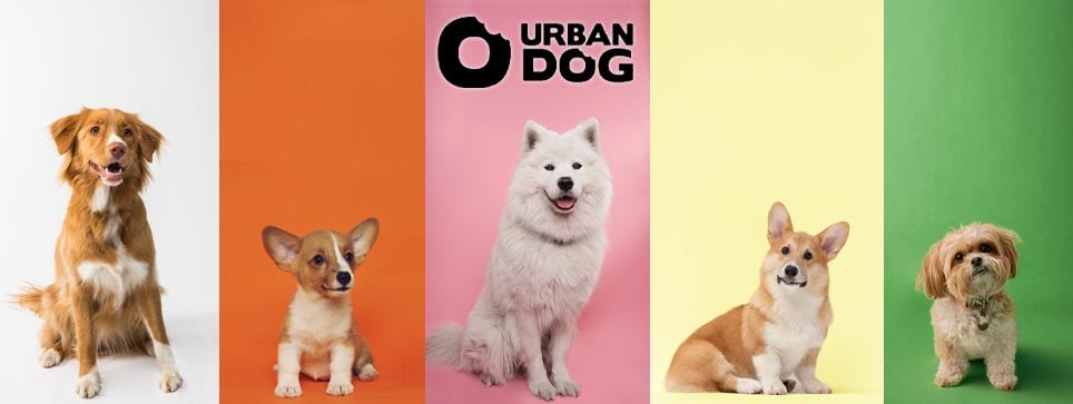 Urban dog | Bravi Farmacie Online